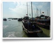 Voir l'album de la Baie d'Ha Long.